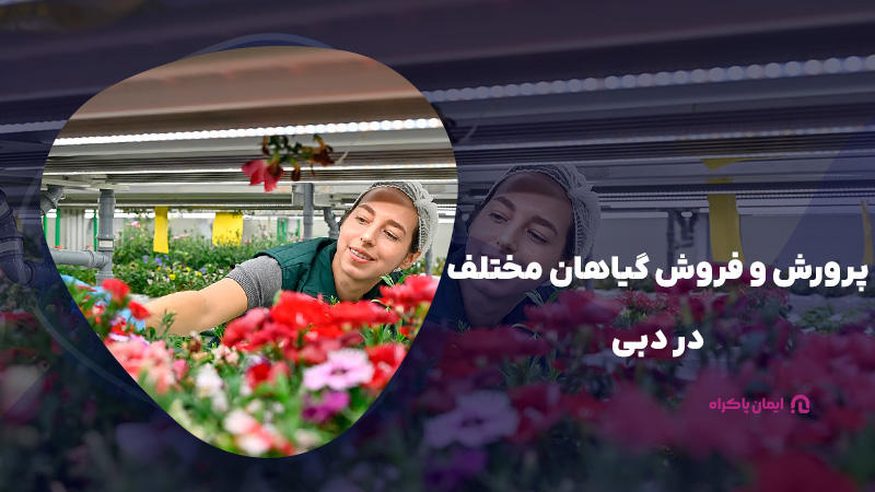 پرورش و فروش گیاهان مختلف