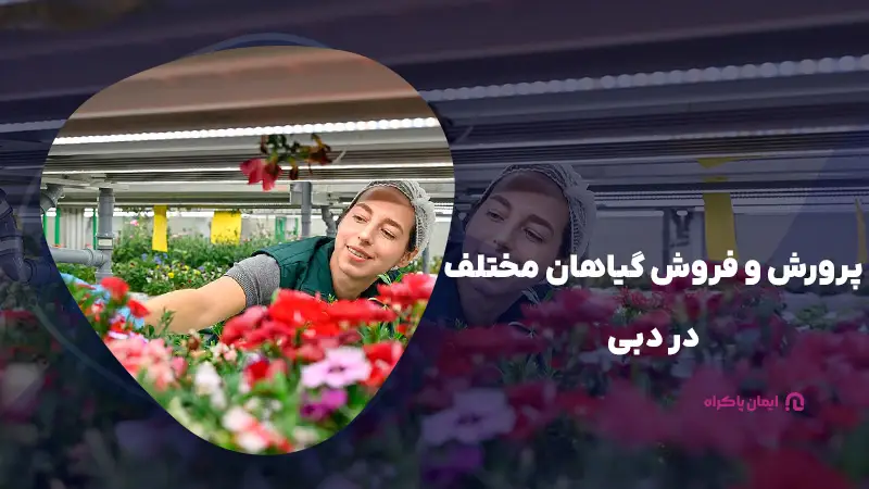 پرورش و فروش گیاهان مختلف