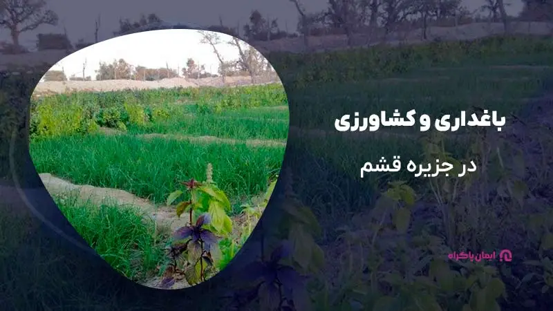 باغداری و کشاورزی