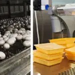 معرفی شغل های کارگاهی با سرمایه کم