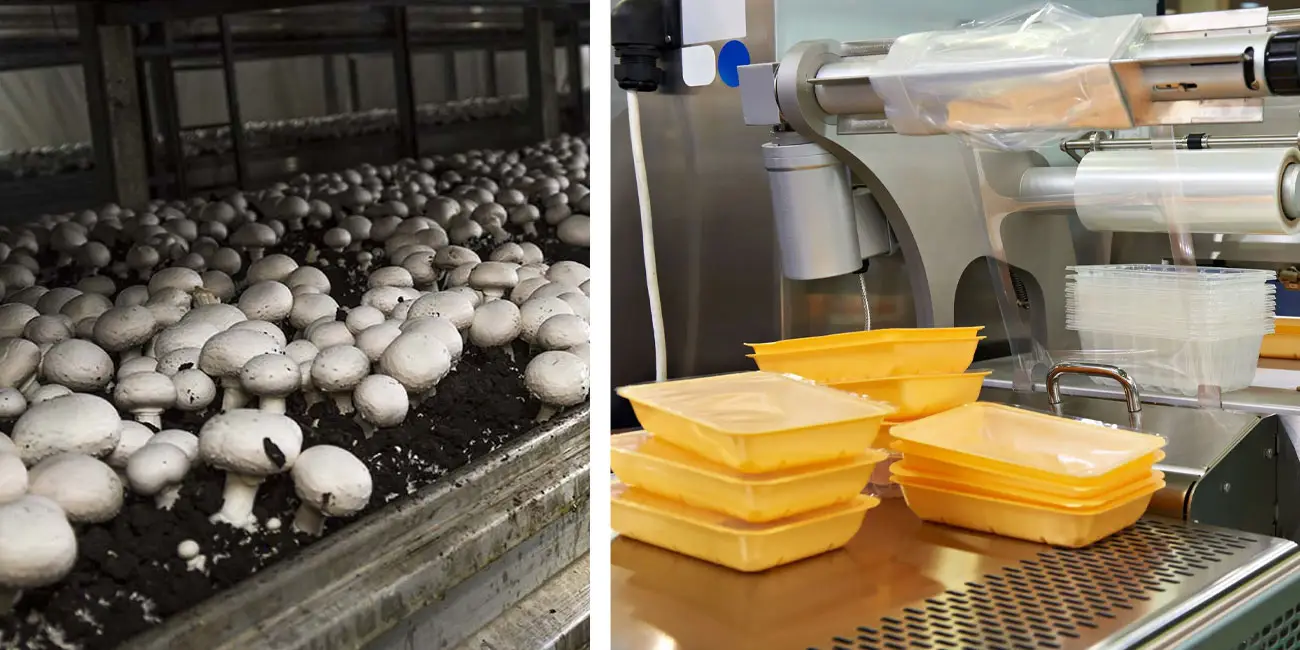 معرفی شغل های کارگاهی با سرمایه کم