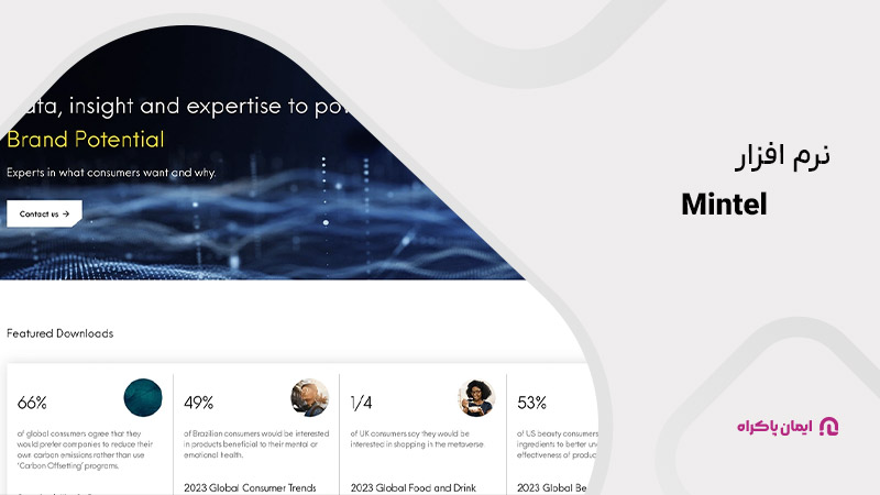 نرم‌افزار Mintel