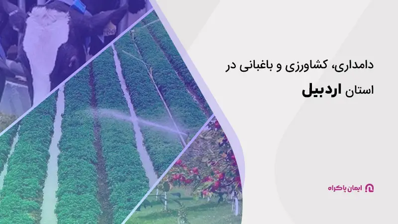 کسبوکارهای پرسود در اردبیل