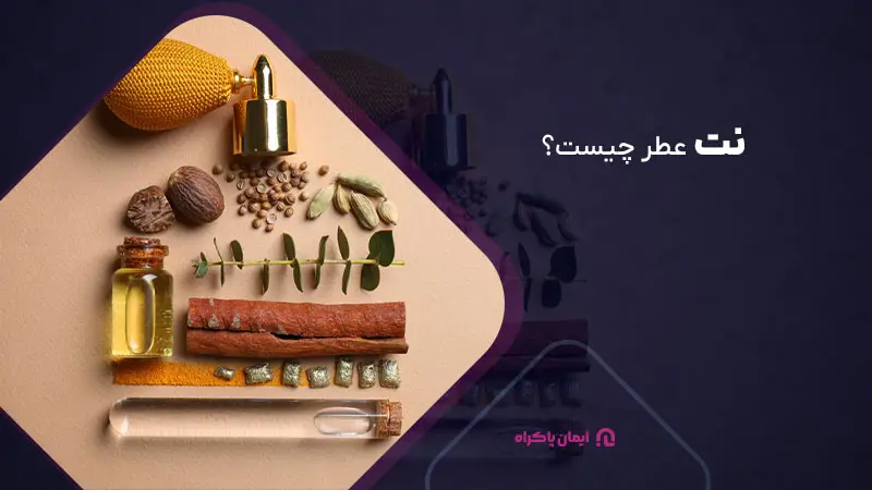نت عطر چیست؟