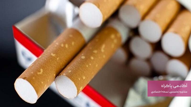 سود سیگار چند درصد است؟