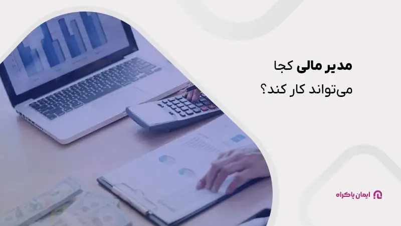مدیر مالی کجا میتواند کار کند؟