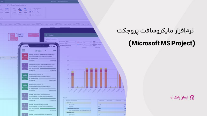 نرم‌افزار مدیریت پروژه مایکروسافت پروجکت (Microsoft MS Project)