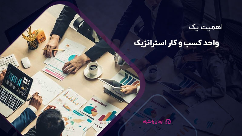 اهمیت یک واحد کسب و کار استراتژیک 