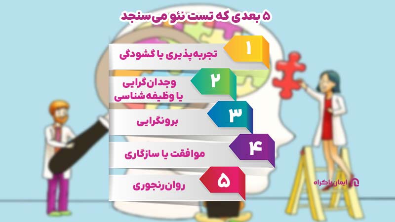 تست نئو چه چیزی را می‌سنجد؟