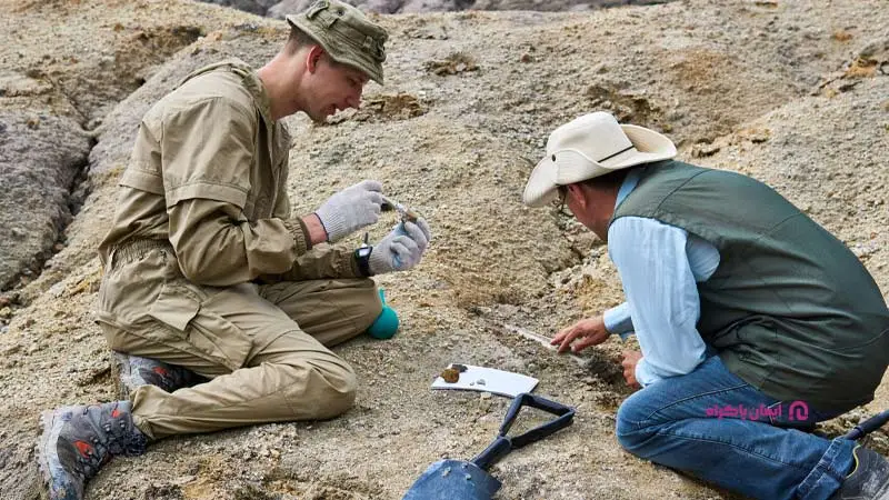 مشاغل مرتبط با انسانشناسی