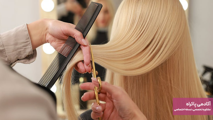 طراحی پکیج‌های ترکیبی خدمات (مثلاً رنگ + براشینگ)