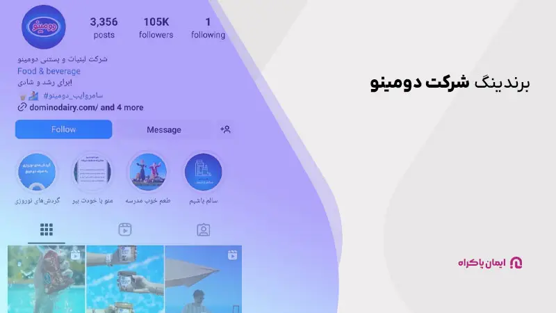 برندینگ شرکت دومینو