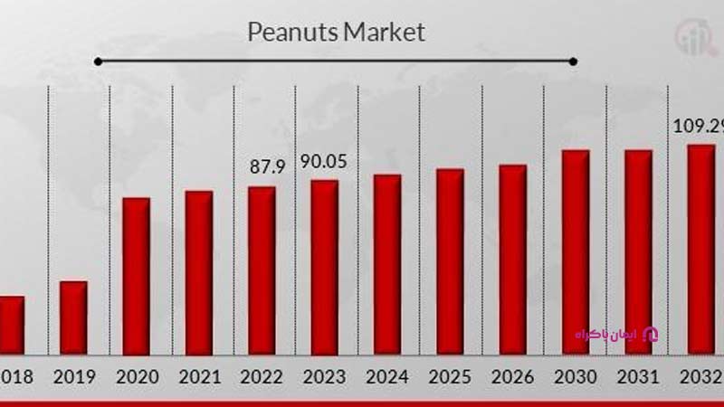 پیش‌بینی روند رشد کسب و کار آجیل فروشی از سال 2018 تا 2032