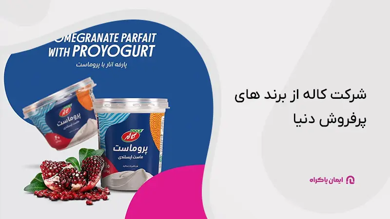 مهارت نرم مدیر فروش کاله