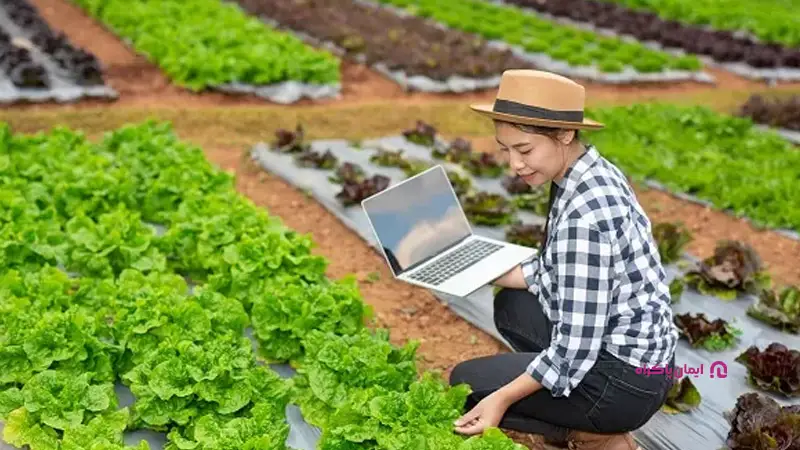 باغبانی و کشاورزی مدرن