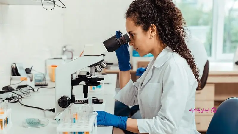 مشاغل رشته تجربی در دسته علوم پایه
