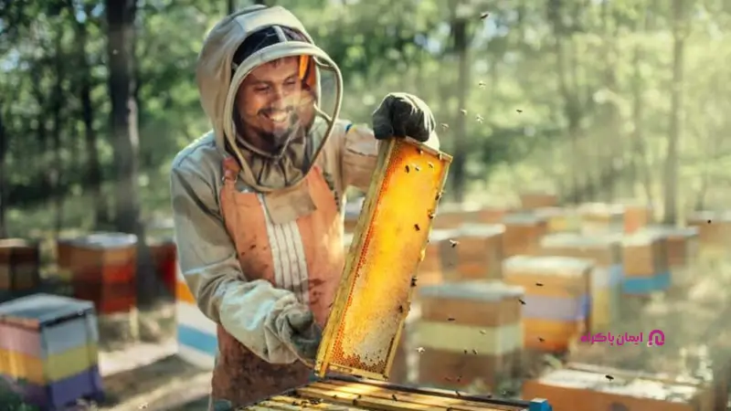 مهارت های لازم در کسب و کار تولید و فروش عسل