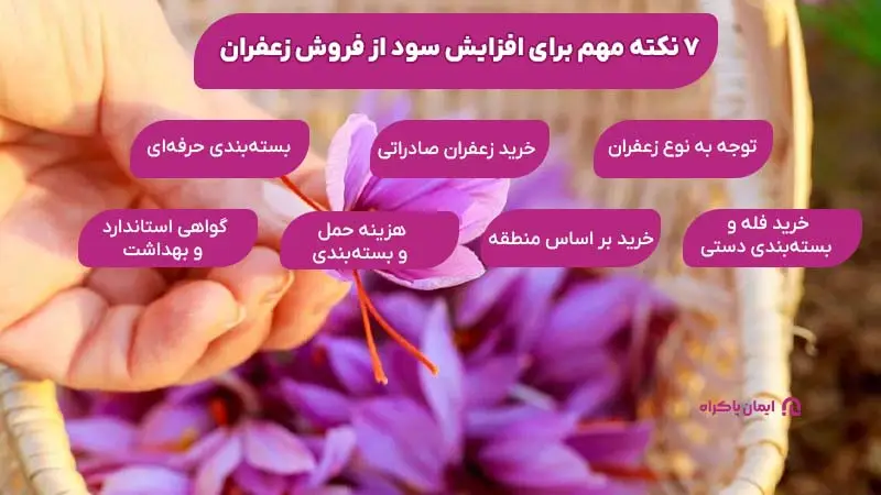 نکات افزایش سود از فروش زعفران