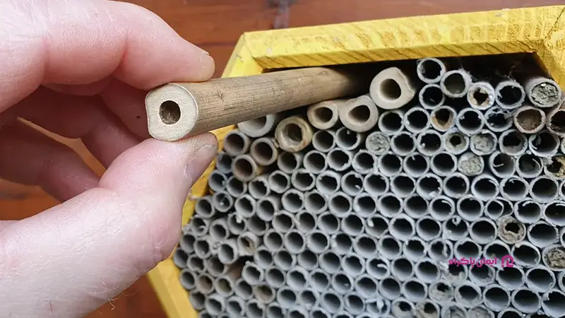 تولیدکننده ابزار زنبورداری