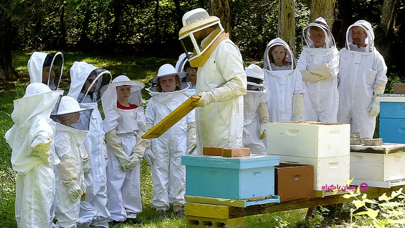 مدرس یا مربی زنبورداری