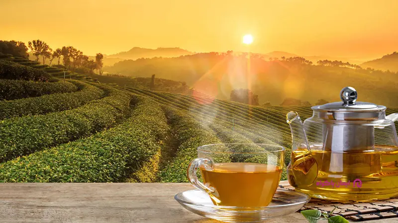 صادرات چای و کشاورزی