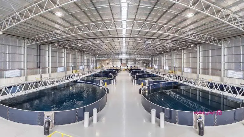 پرورش ماهی در سیستم بسته – ارس