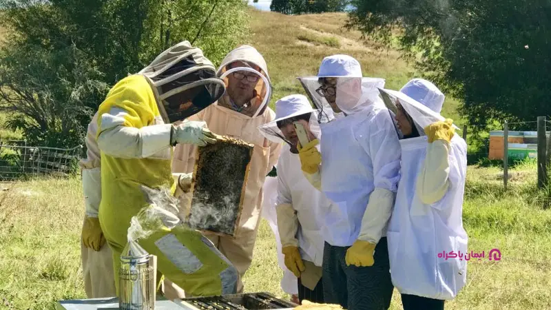 شغل تولید و فروش عسل برای آقایان و خانمها