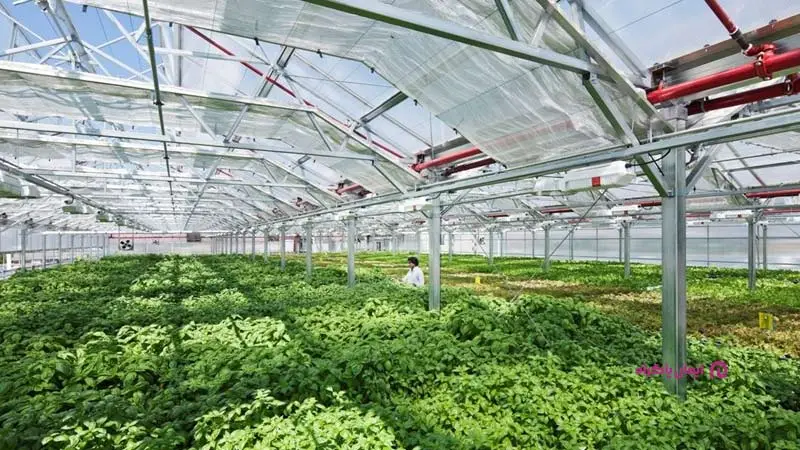 گلخانه مدرن با آب‌شیرین‌کن – چابهار