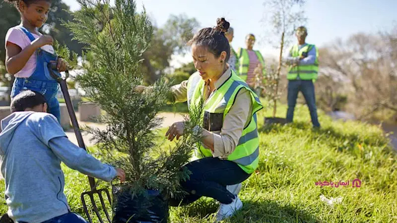 مشاغل طبیعت محور برای افراد درونگرا 