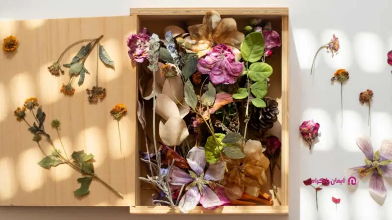 تولید و فروش لوازم دکوری با گل‌های خشک