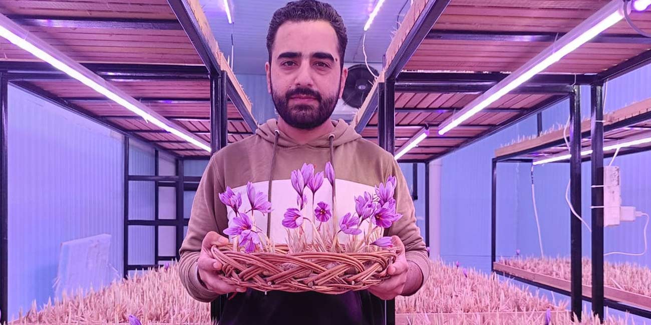 بررسی کسب و کار فروش زعفران