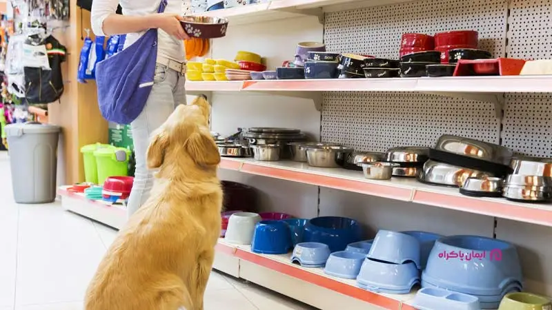 راه‌اندازی پت شاپ؛ از کسب وکارهای جدید