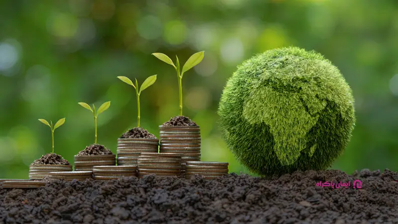 اقتصاددان محیط زیست