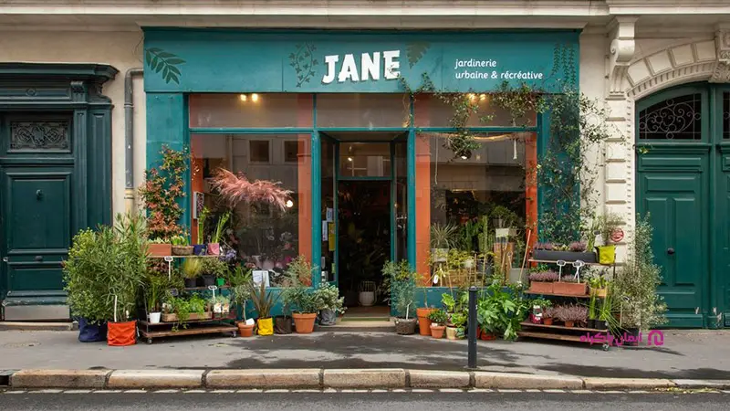 دسته مربوط به گل و گیاه