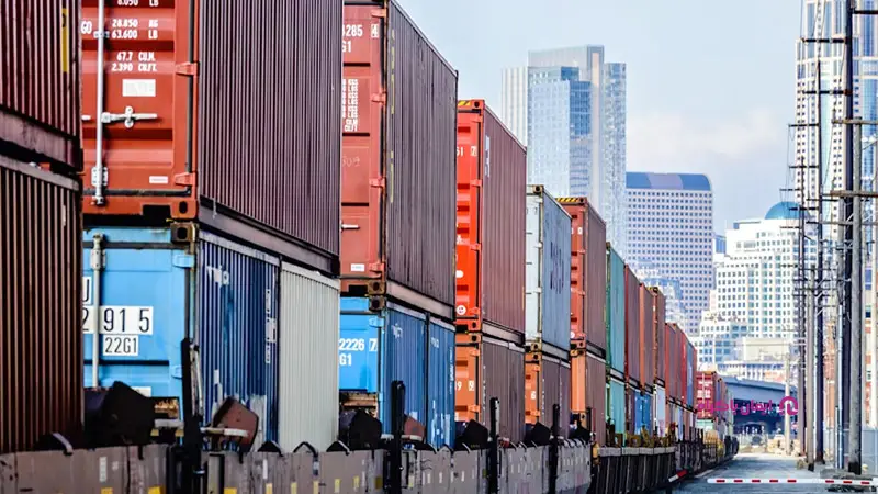 کار در شرکتهای واردکننده کناف