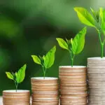 کسب درآمد از پرورش گل و گیاه