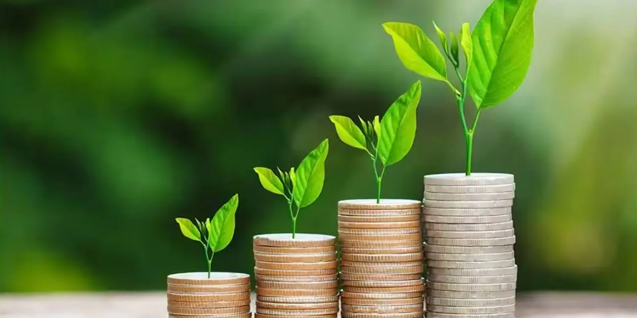 کسب درآمد از پرورش گل و گیاه