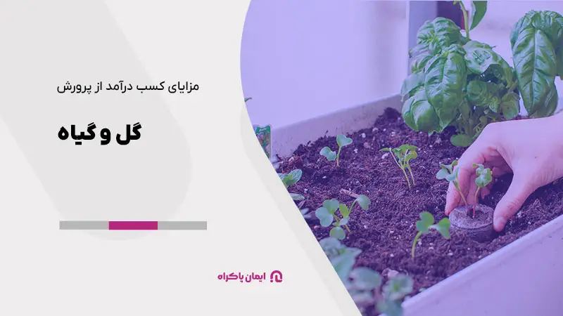 مزایای کسب درآمد از پرورش گل و گیاه