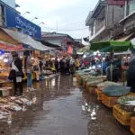 بررسی بهترین کسب و کار در گیلان؛ از رشت تا لاهیجان