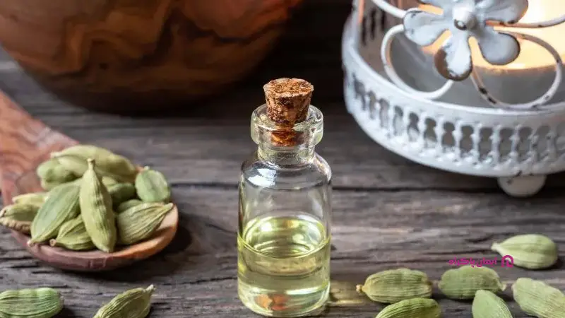 فرصت‌های سرمایه‌گذاری در روغن‌گیری