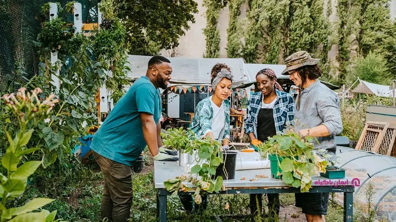 شروع کسب درآمد از پرورش گل و گیاه