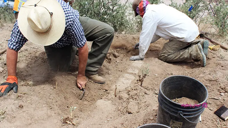 چالش شغل های رشته باستان شناسی