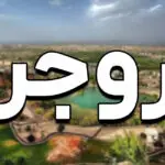 راهنمای جامع شروع کسب و کار در بروجرد