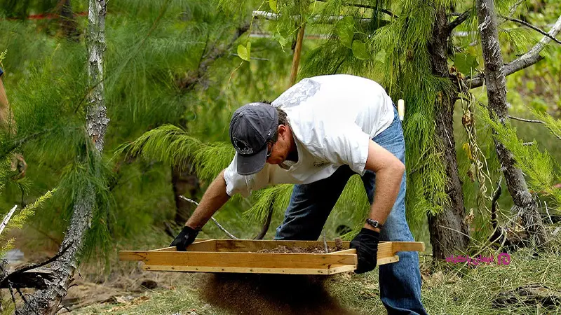 مزایا و معایب شغلهای رشته باستان شناسی