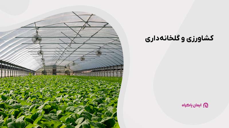 کشاورزی و گلخانه‌داری