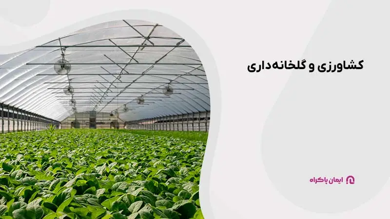 کشاورزی و گلخانهداری در کرج