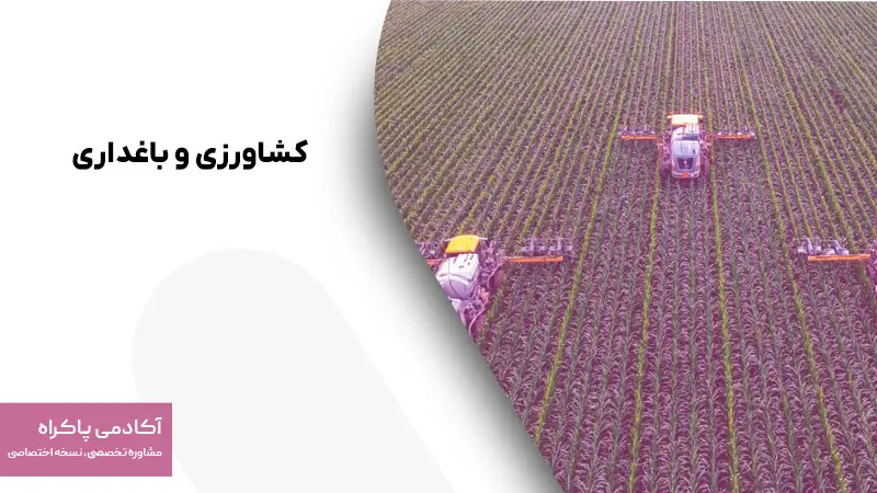 کشاورزی و باغداری