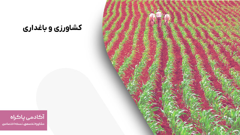 کشاورزی و باغداری