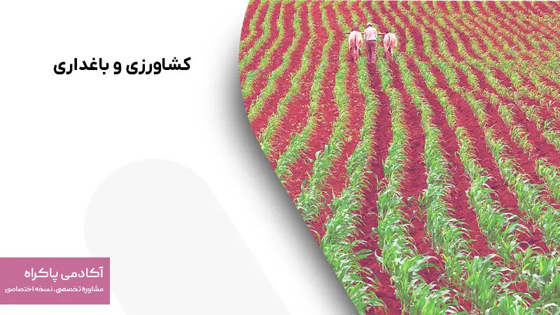 کشاورزی و باغداری