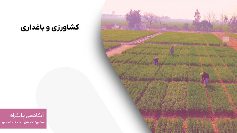 کشاورزی و باغداری
